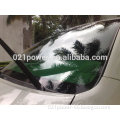 High quality PET solar film